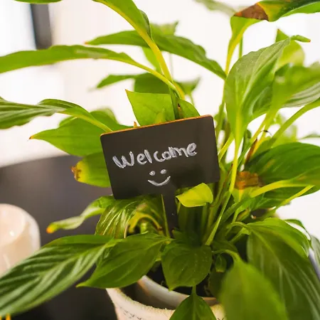 Unique Central アパート