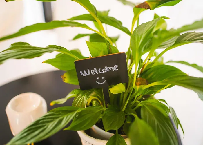 Unique Central Apartamento